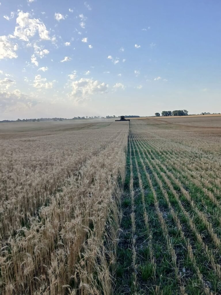 instalación de piloto automático en la pampa, miguel riglos, efeyefe ingeniería